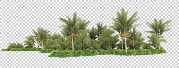 PSD palm trees on island on transparent background 3d rendering illustration