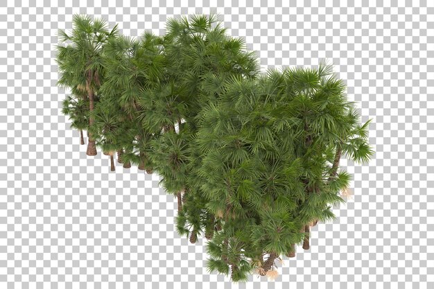 투명 한 배경에 야자수입니다. 3d 렌더링 - 일러스트레이션
