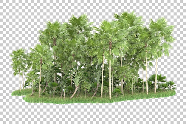 Palm trees on a transparent background