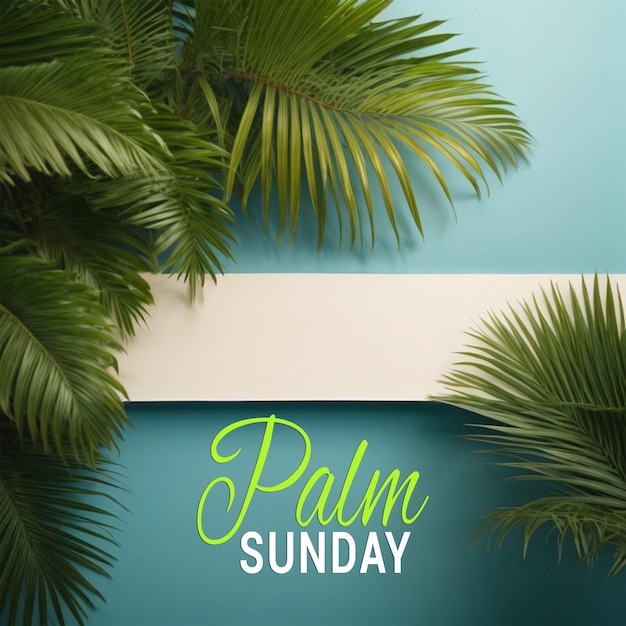 Palmblad achtergrond palm zondag sociale media instagram post sjabloon