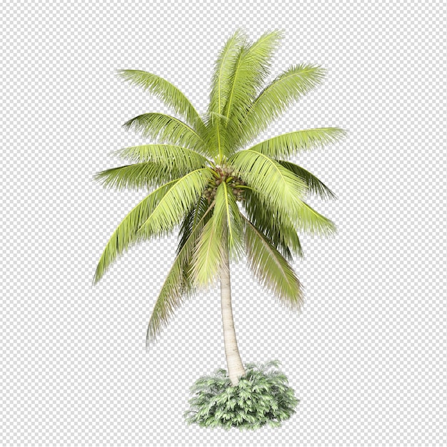 Palmboom in 3d-rendering geïsoleerd