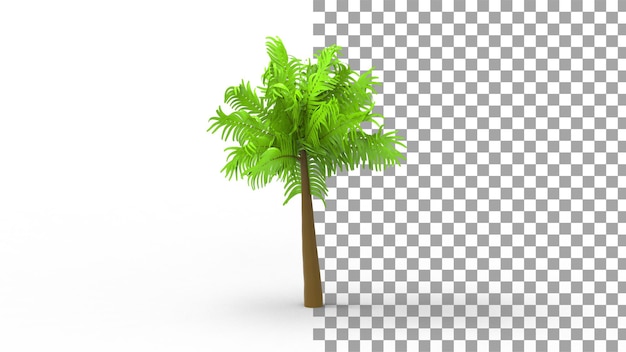 Palmboom met schaduw 3d render