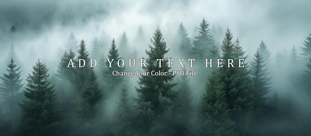 panoramic view of a mysterious dark forest in a fog