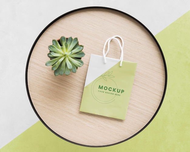 Concetto di sacchetto di carta con mock-up