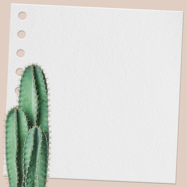 PSD paper note psd with cactus plant