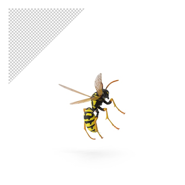 PSD paper wasp png