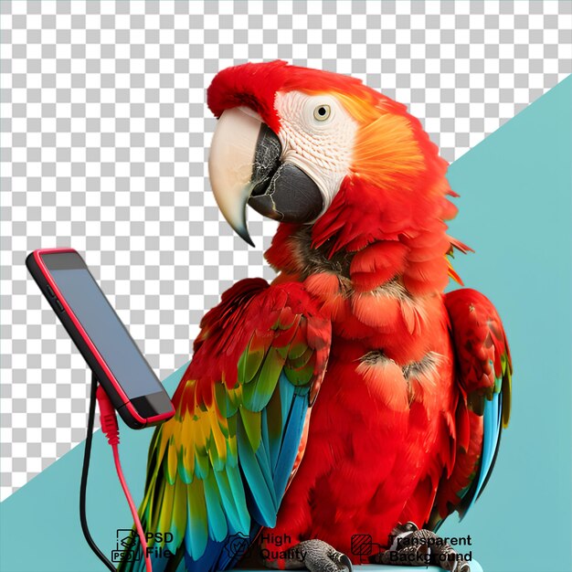 PSD parrot isolated on transparent background with a picture