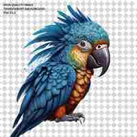 PSD parrot vector png