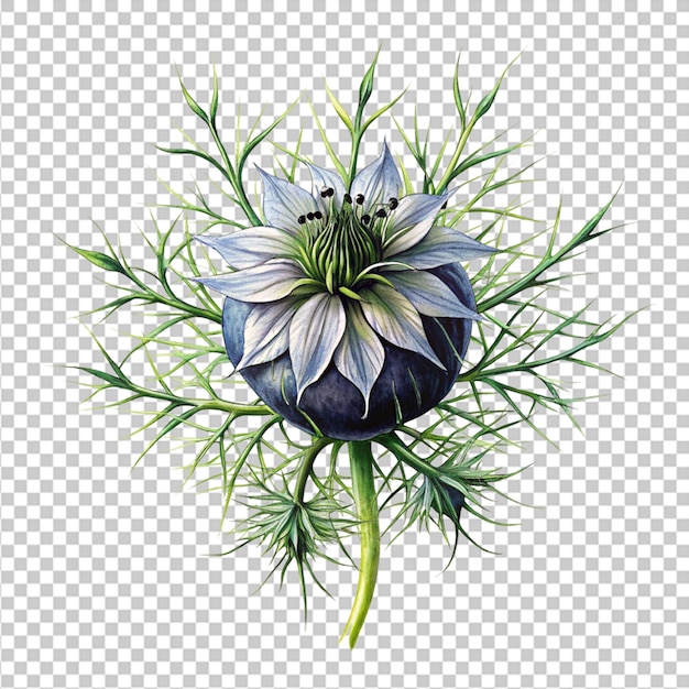 PSD passion flower isolated on transparent background