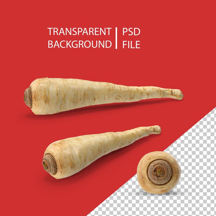 PSD pastinak png