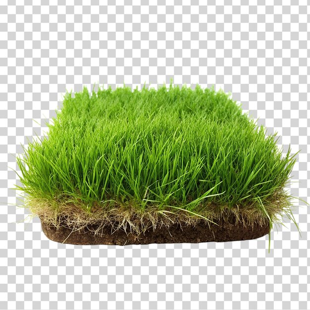 A patch of grass on transparent background