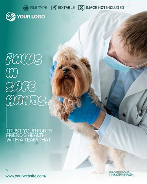 paws in safe hands trusting your furry friends health