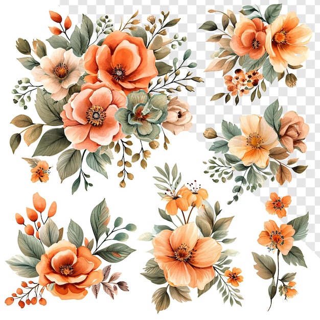 PSD peach floral watercolor pieces and bouquets transparent background