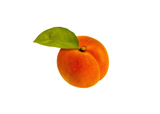 Peach food psd png