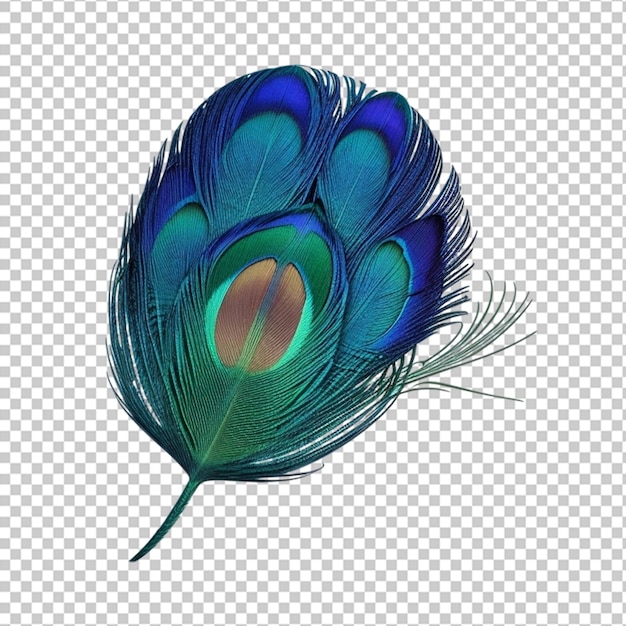 PSD peacock feather