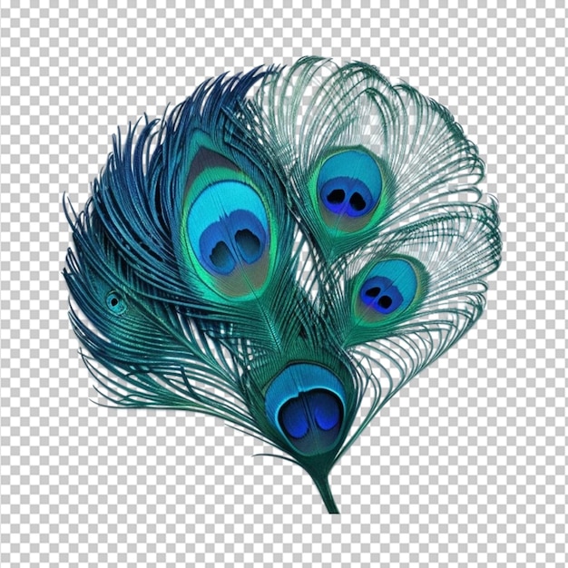 PSD peacock feather