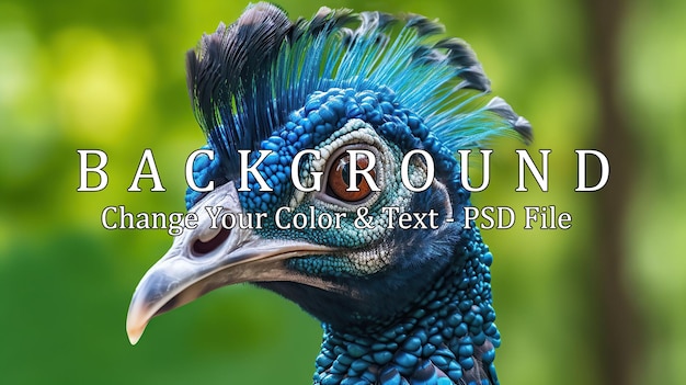 PSD peacock generatieve ai