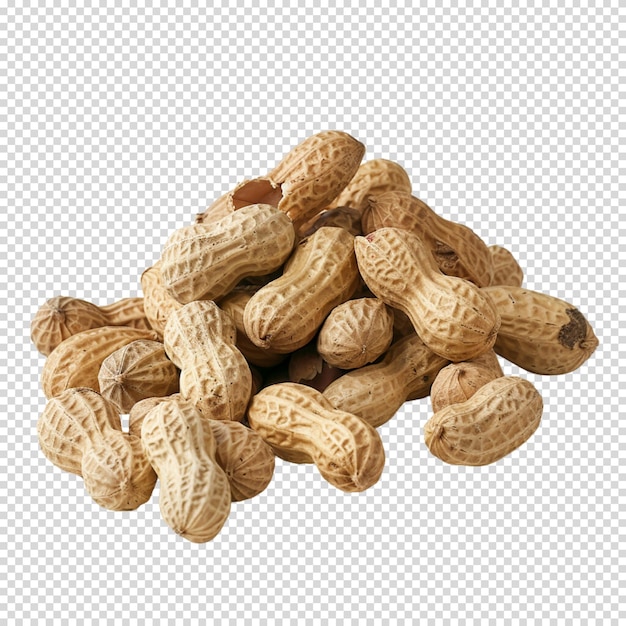 Peanut isolated on transparent background peanut butter day