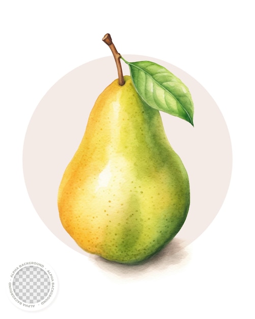 Pear fruit illustration with transparent background