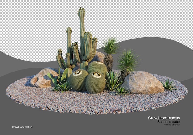 PSD pebbles and various types of cactus