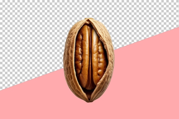 Pecan W Skorupie Na Przezroczystym Tle