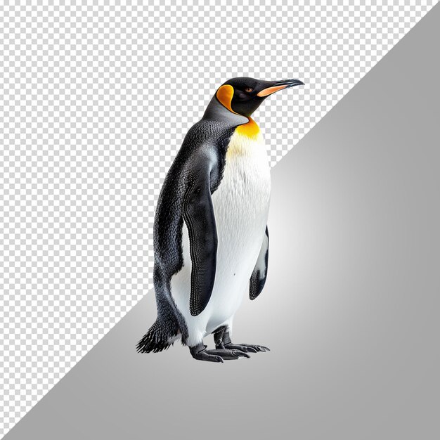 PSD penguin 3d