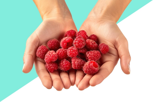 PSD person holding raspberries in hands