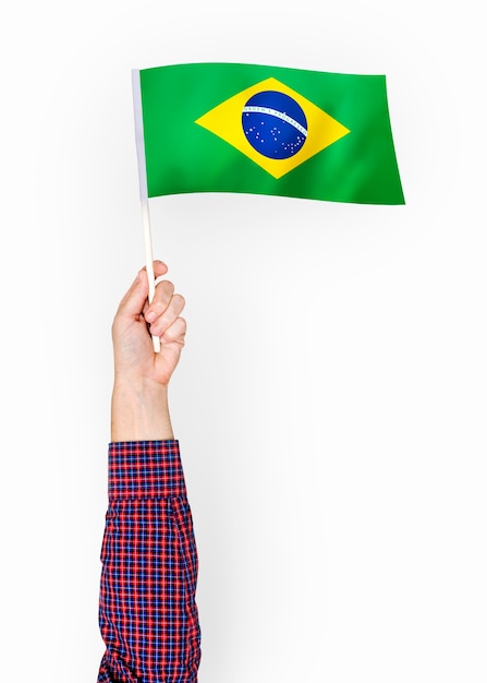 Person waving the flag of Federative Republic of Brazil