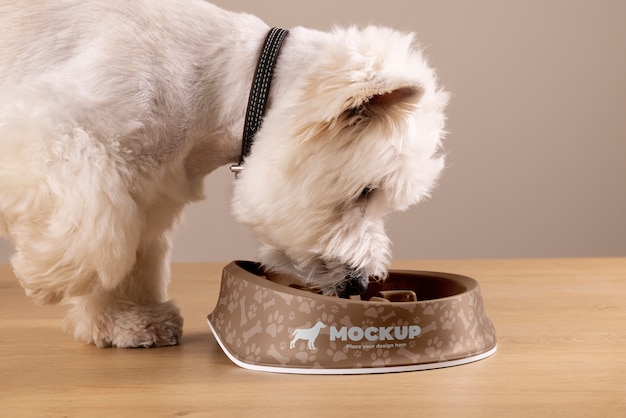 pet accessories brand mockup