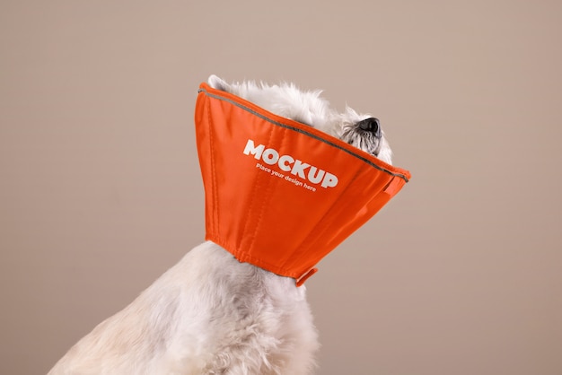 PSD pet accessories brand mockup