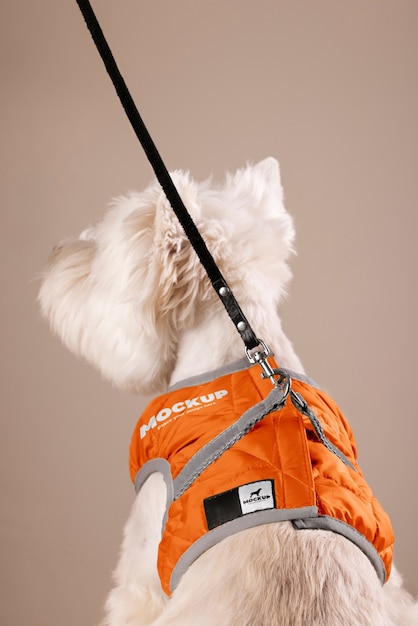 pet accessories brand mockup