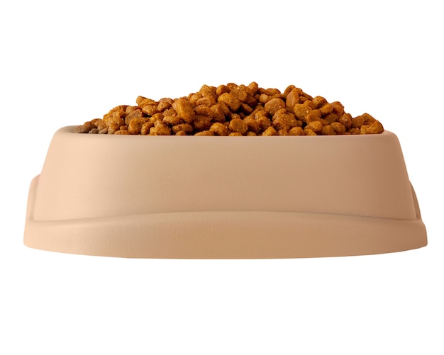 Pet accessory isolated