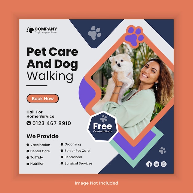 Pet care and dog walking social media post design or pet business Facebook Instagram square template