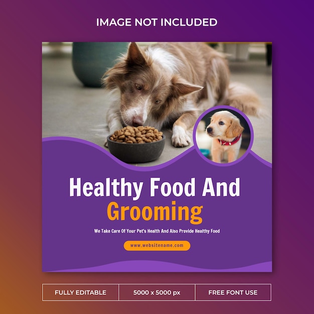 PSD pet care instagram post social media template