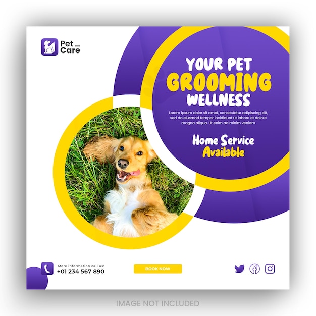 PSD pet care service promotion social media instagram post banner template