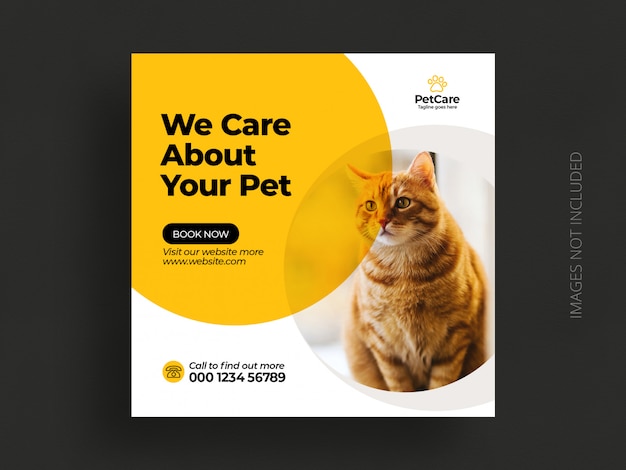 PSD pet care service social media instagram post banner template