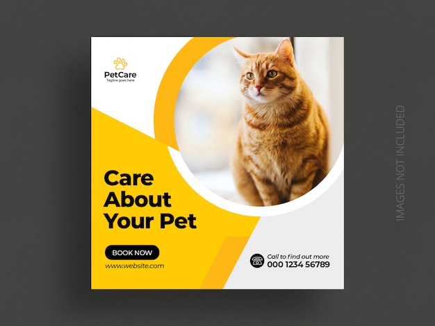 Pet care social media post or web banner template