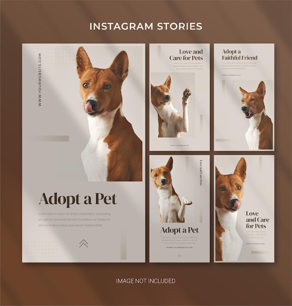 Pet care template for instagram stories