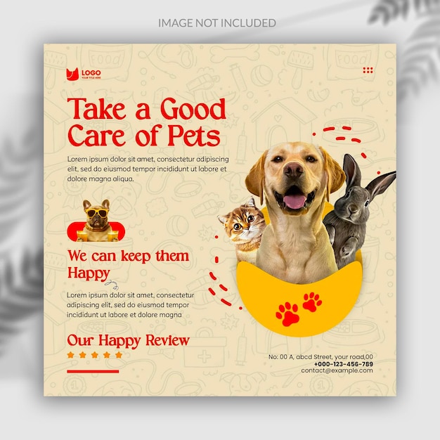pet care
