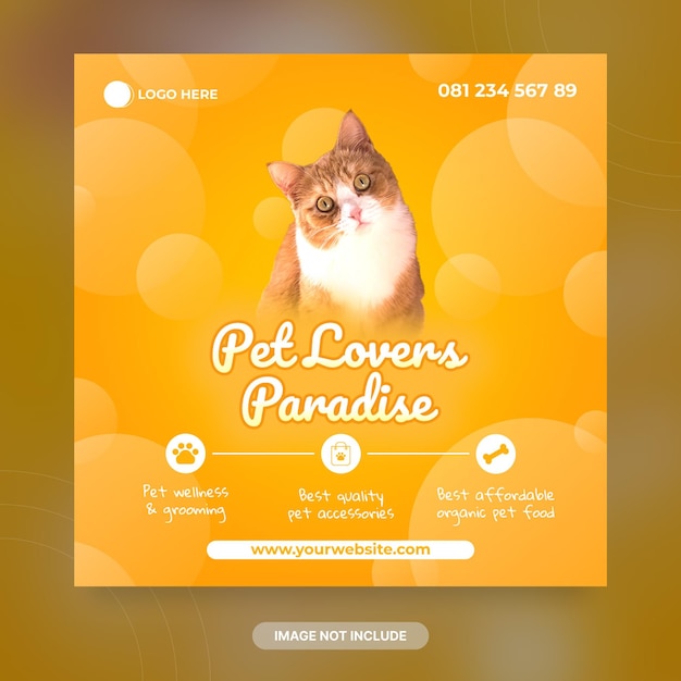 Modello di banner per post sui social media di pet shop cat