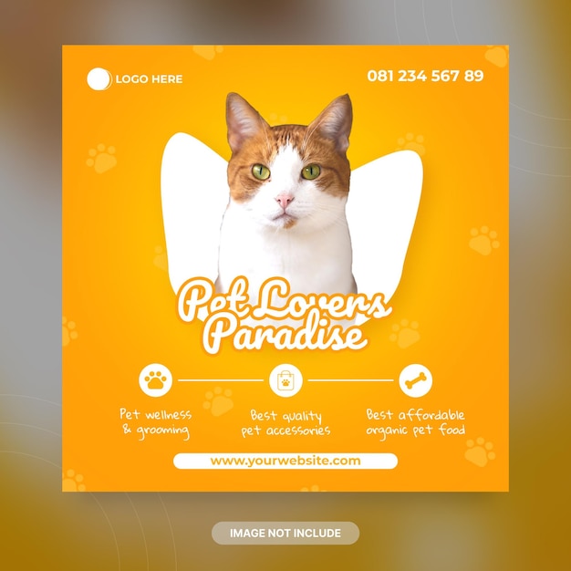 Pet shop cat social media post banner template