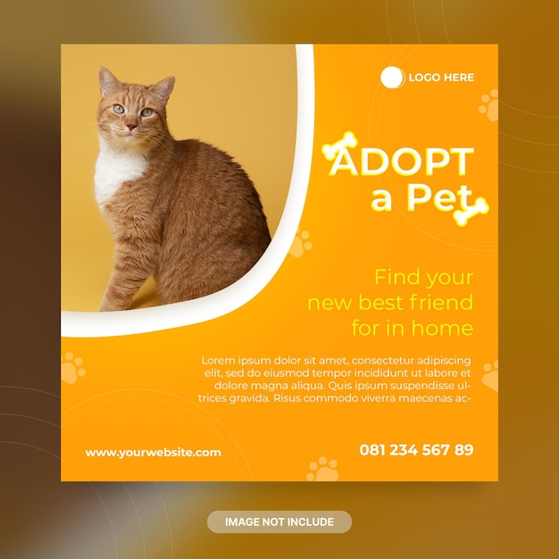 Modello di banner per post sui social media di pet shop cat