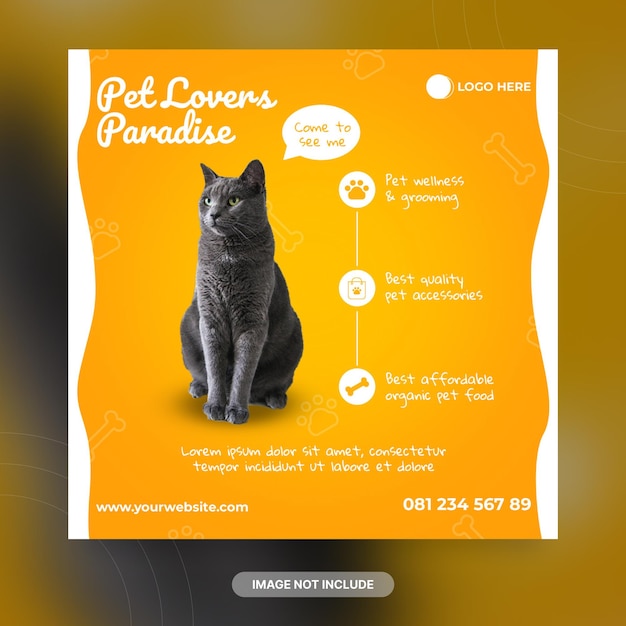 Modello di banner per post sui social media di pet shop cat