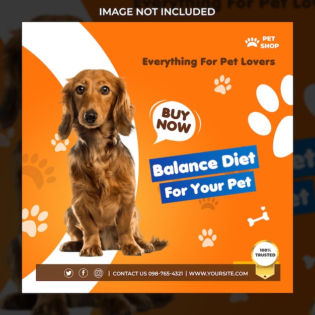 PSD pet shop promotion social media instagram post banner template