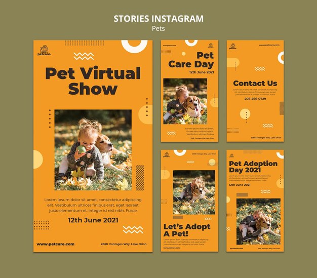 Storie di instagram per spettacoli virtuali per animali domestici