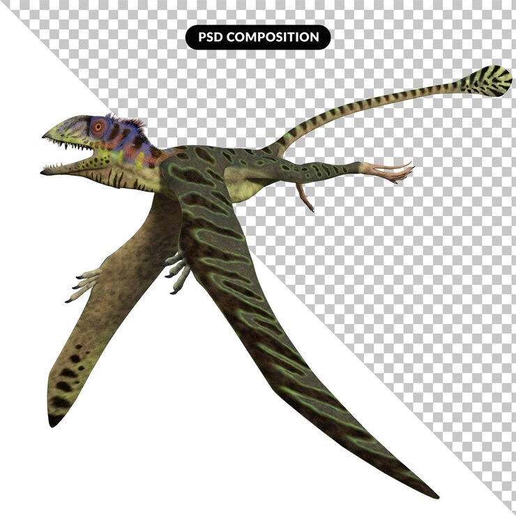 PSD 皮蒂諾索魯斯恐龍 (peteinosaurus dinosaur) 在透明紙上被隔離