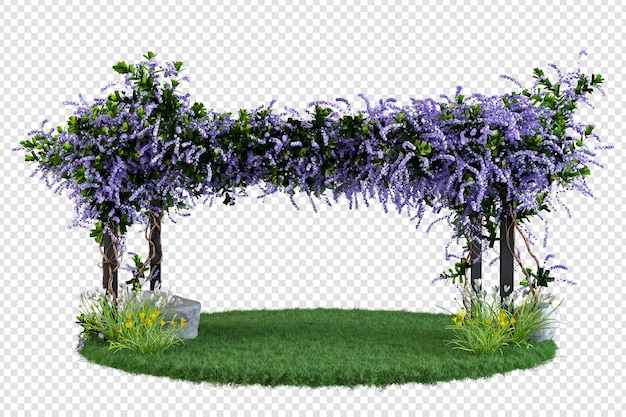 PSD petrea volubilis in 3d-weergave