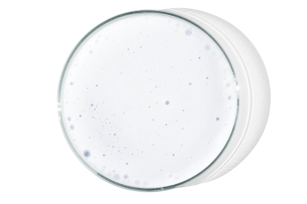 Petri dish isolated on empty background White foam in a Petri dish