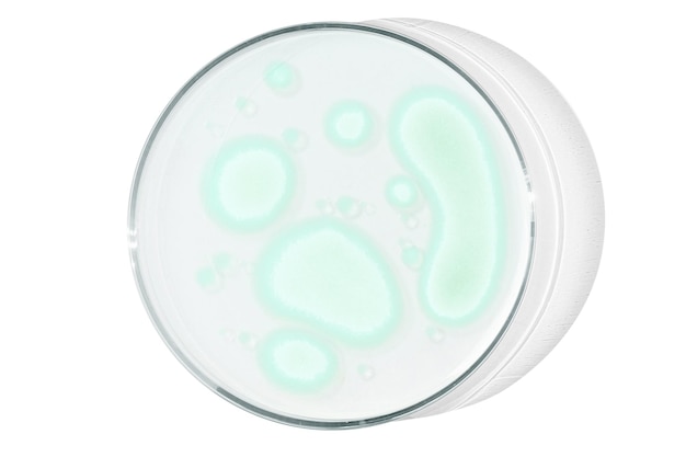 PSD petrischaal geïsoleerd op lege achtergrond groene druppels strepen bacteriën en moleculen in een petrischaal
