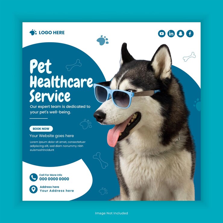 PSD pets healthcare social media post design or pet care service instagram square template